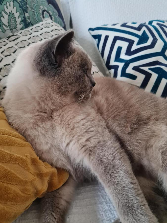 Maison De Campagne Cosy Pons Ngoại thất bức ảnh